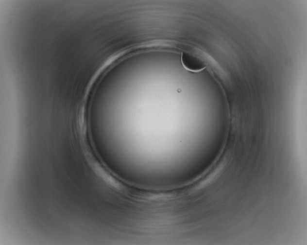 X0000113920892200910011510