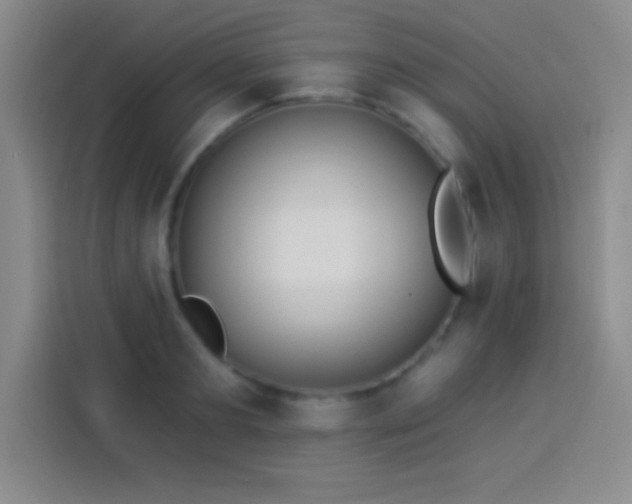 X0000113920893200910011510