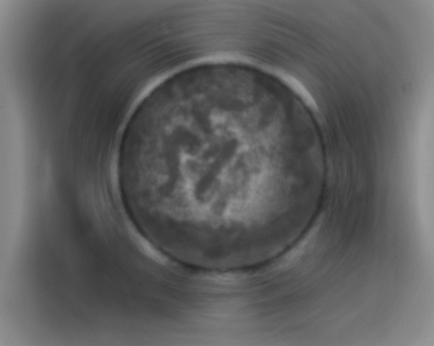 X0000113920895200910011510
