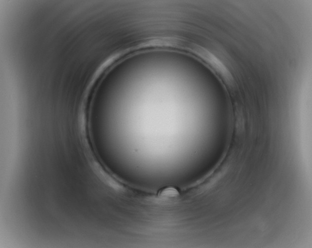X0000113920896200910011510