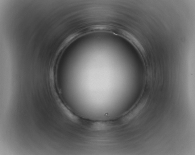 X0000113920898200910011510