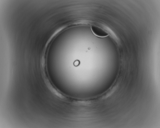 X0000113920900200910011509
