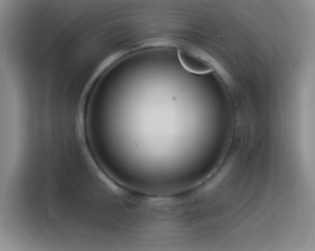 X0000113920902200910011509
