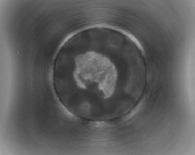 X0000113920903200910011509