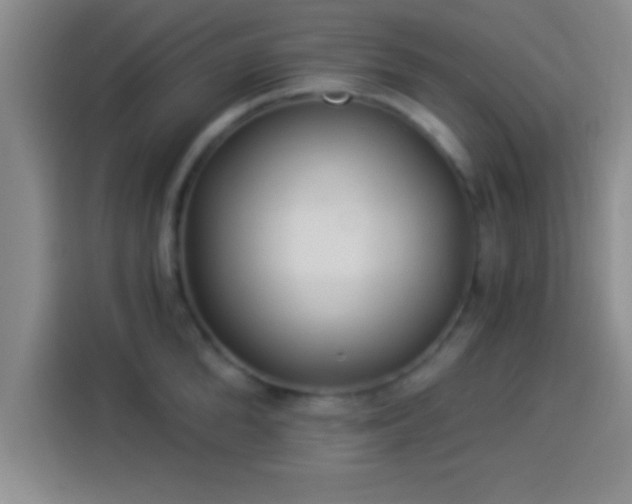 X0000113920904200910011509