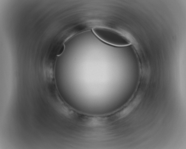 X0000113920905200910011509