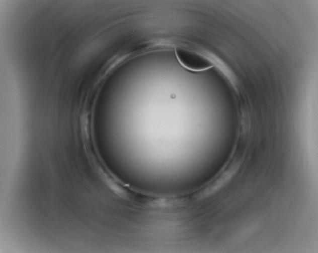 X0000113920906200910011509