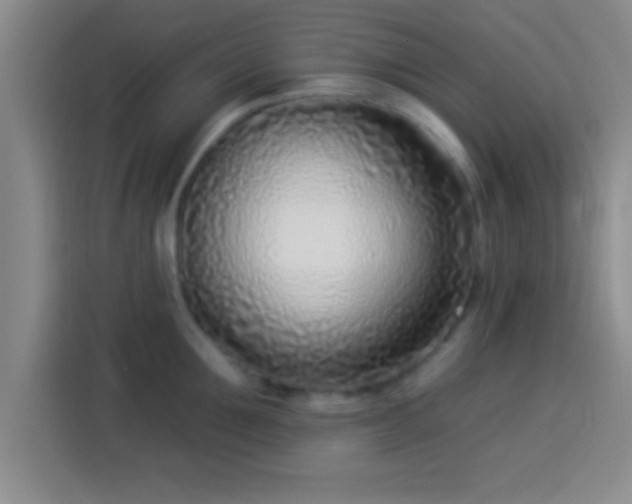 X0000113920907200910011509