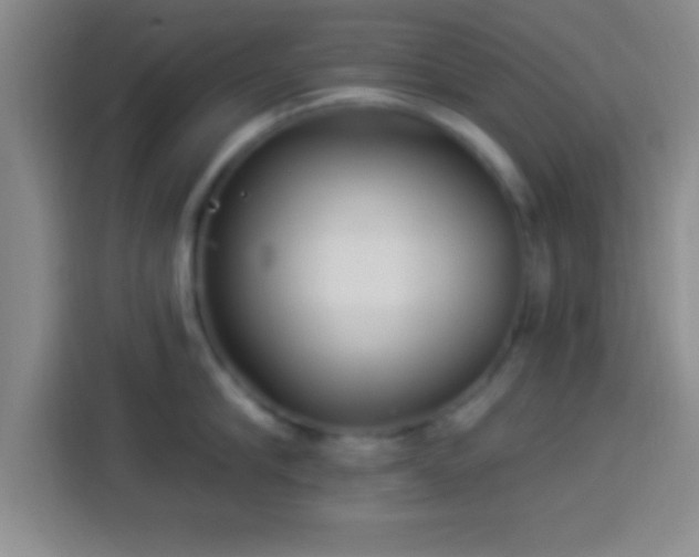 X0000113920910200910011509