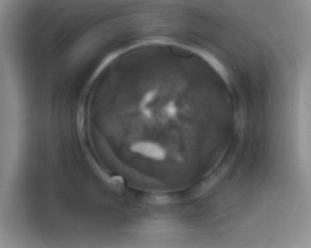 X0000113920911200910011509