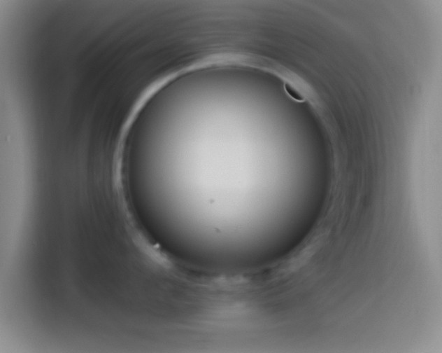 X0000113920912200910011509
