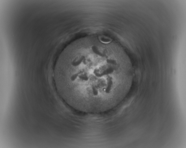 X0000113920913200910011509