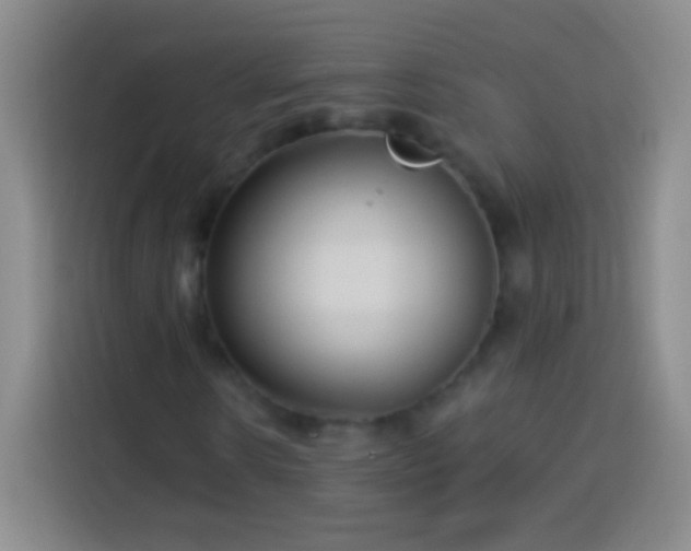X0000113920914200910011509