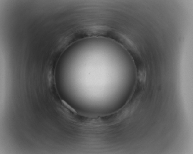 X0000113920915200910011509