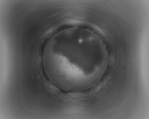 X0000113920917200910011509