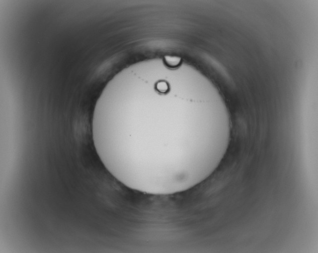 X0000113920918200910011509