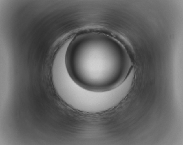 X0000113920920200910011509