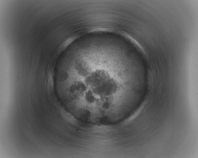 X0000113920921200910011509