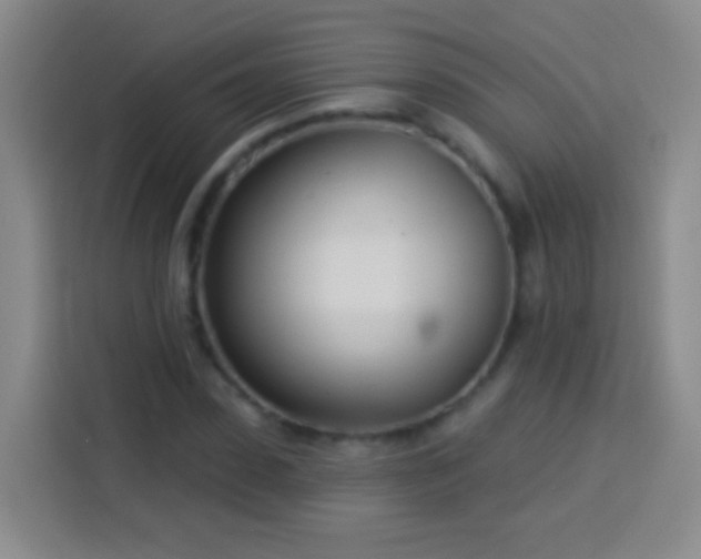 X0000113920923200910011509