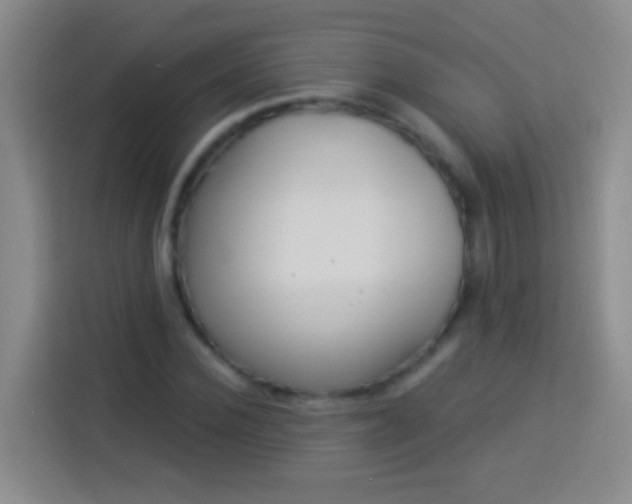 X0000113920924200910011509