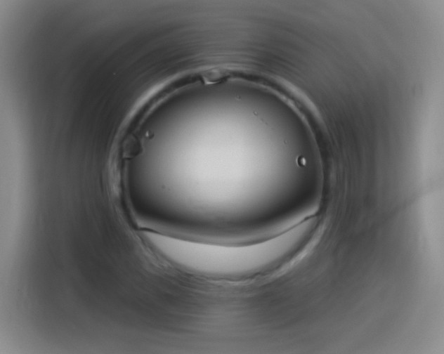 X0000113920925200910011509
