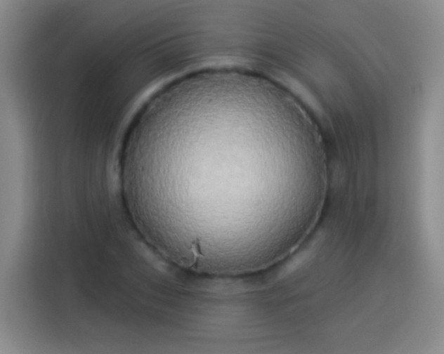 X0000113920927200910011509