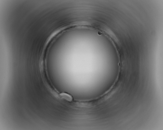 X0000113920928200910011509