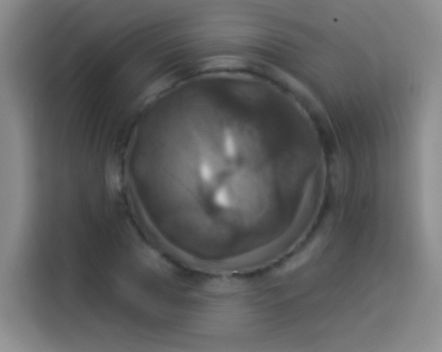 X0000113920929200910011509