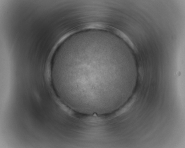 X0000113920931200910011509