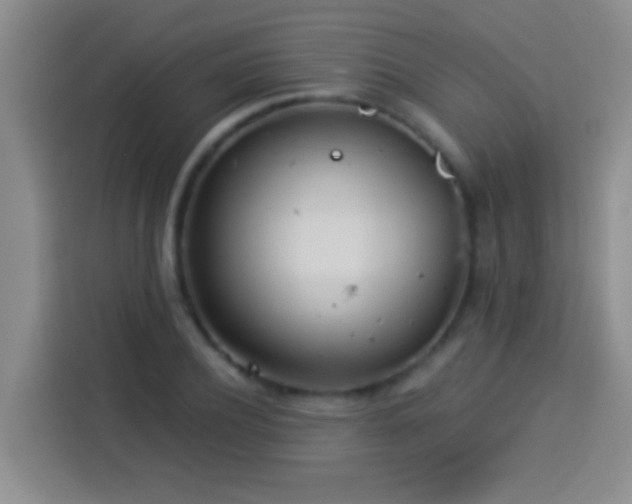 X0000113920932200910011509
