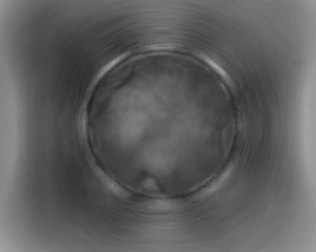 X0000113920933200910011509
