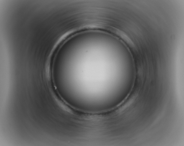 X0000113920934200910011509