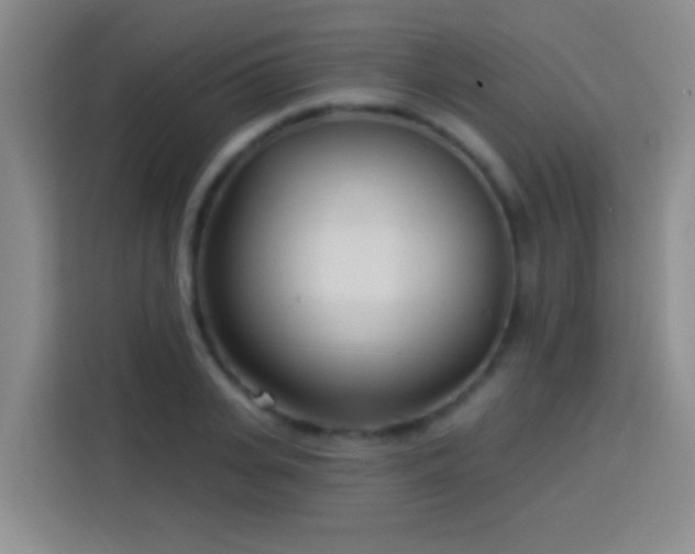 X0000113920935200910011509