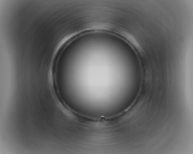 X0000113920936200910011509