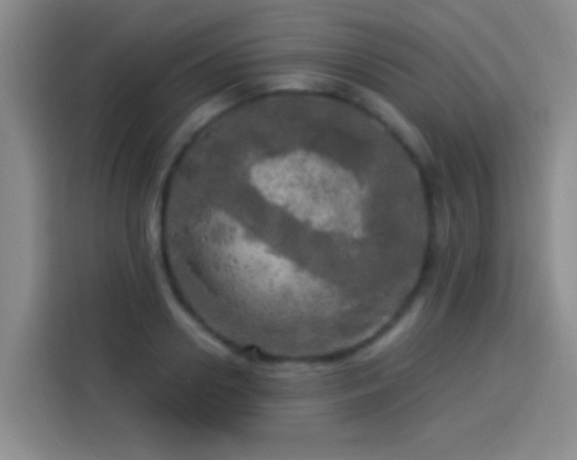 X0000113920938200910011509
