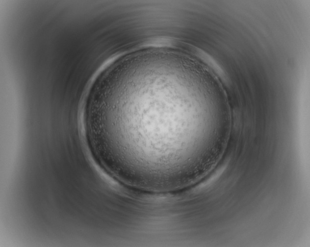 X0000113920939200910011509