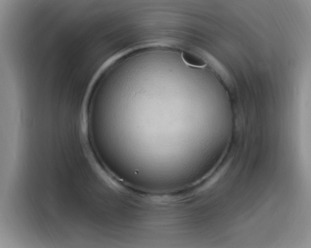 X0000113920940200910011509