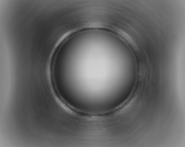 X0000113920942200910011509