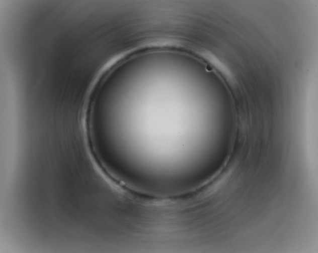 X0000113920943200910011509
