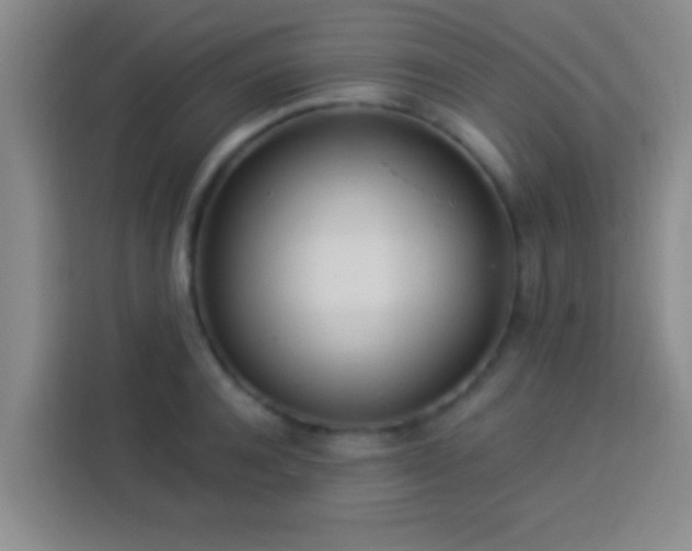 X0000113920944200910011509