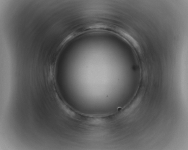 X0000113920945200910011509