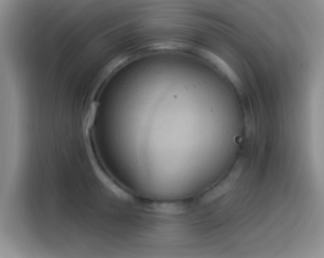 X0000113920946200910011509
