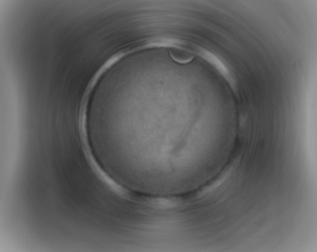X0000113920947200910011509