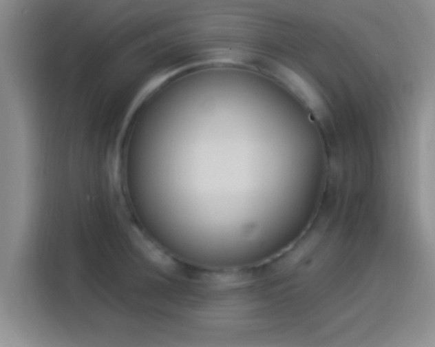 X0000113920948200910011509