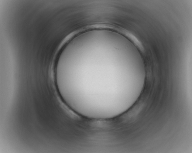 X0000113920950200910011509