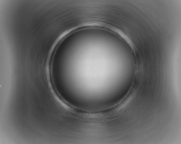 X0000113920951200910011509