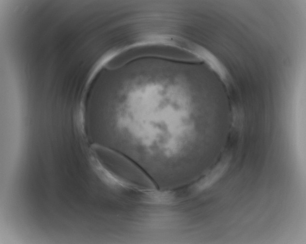 X0000113920952200910011509