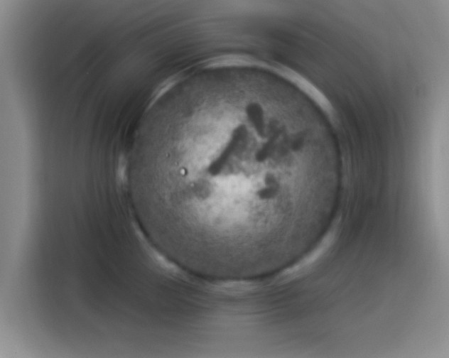 X0000113920953200910011509