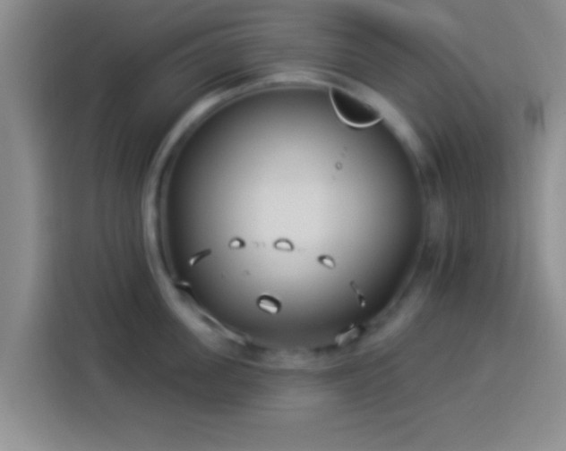 X0000113920955200910011509