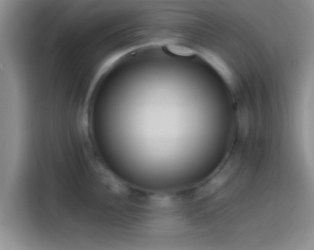 X0000113920956200910011509